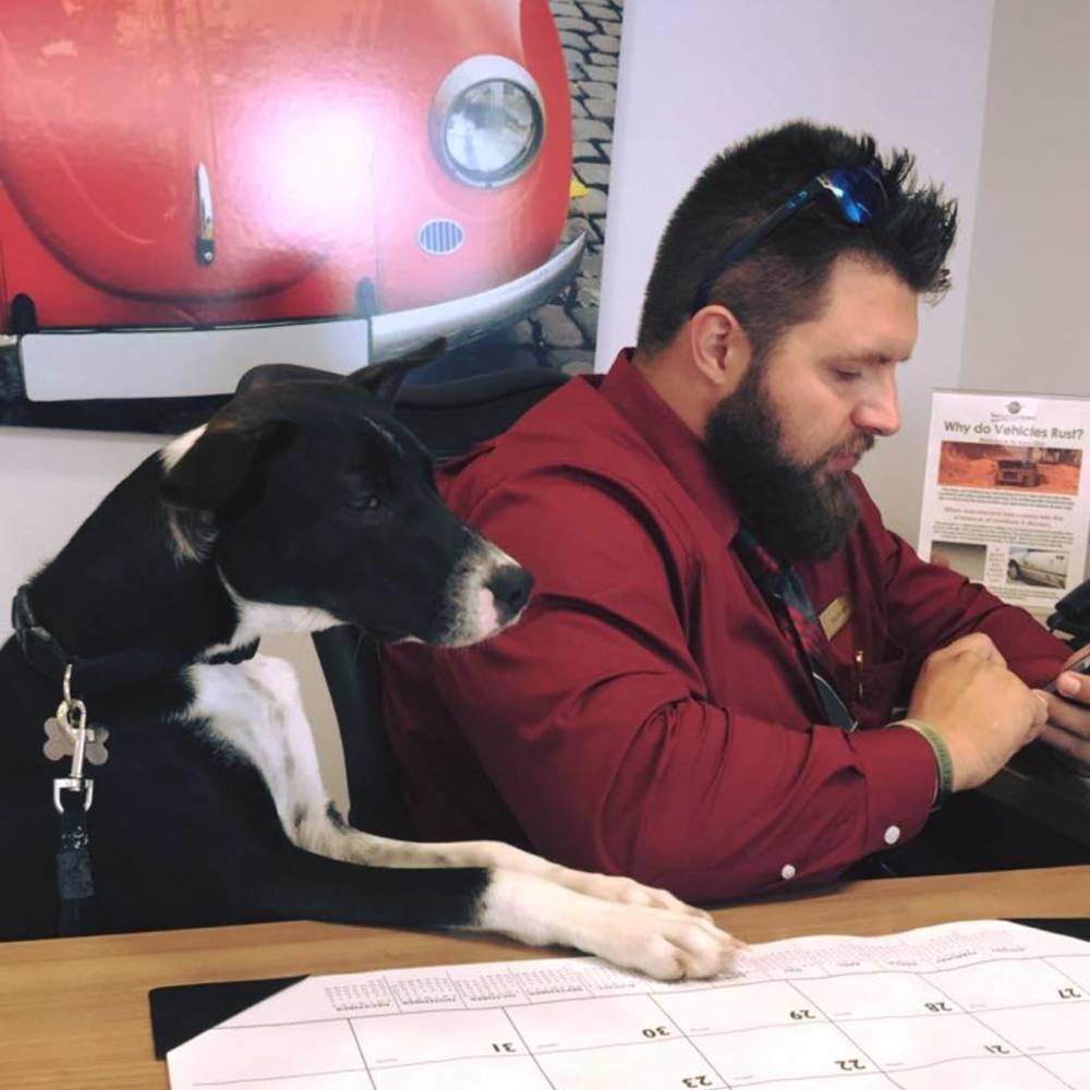 Meet your Posher, Scott